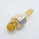 Multimedia karaoke microphone CR58 gold