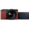 Panasonic Lumix DC-S9 + 20-60mm, crimson red