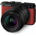 Panasonic Lumix DC-S9 + 20-60mm, crimson red