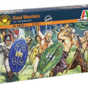 Gauls Warriors