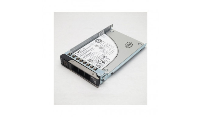 960GB SSD SATA RI 6Gbps 512e 2.5in Hot-Plug, CK