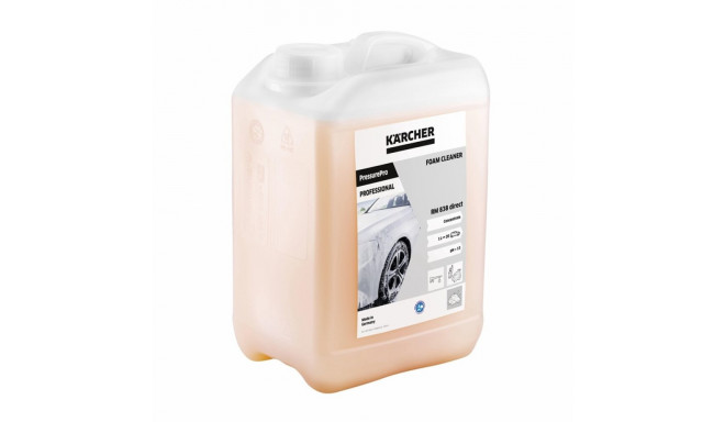 RM 838 DIRECT FOAM CLEANER 3L