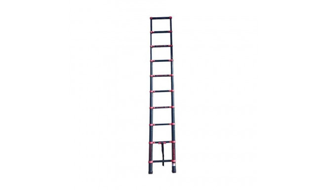 Folding ladder 2.9 m