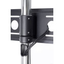 EDBAK | STD01c-B | Trolleys & Stands | 40-75 " | Maximum weight (capacity) 80 kg | Black