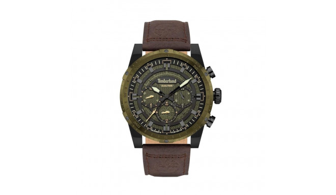 Men's Watch Timberland TDWGF2202001