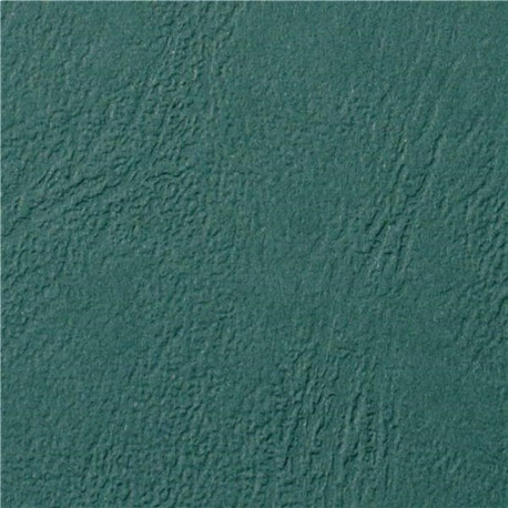 Nahaimitatsiooniga kartong DELTA A4, 250g/100lk - värvivalik