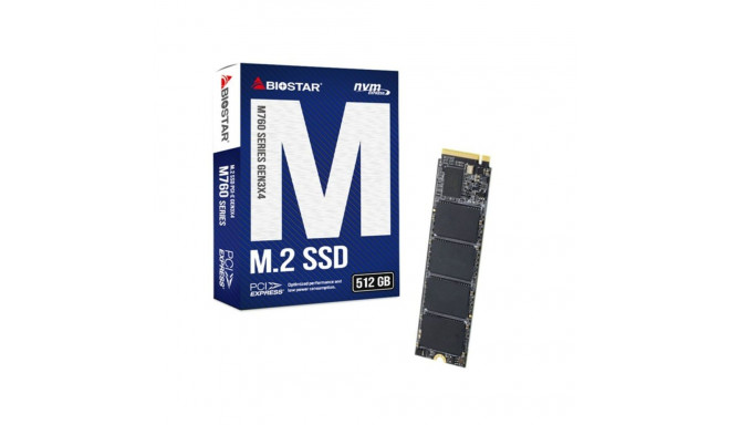 Жесткий диск Biostar M760 512 Гб SSD