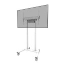 TV Statīvs Neomounts FL55-875WH1