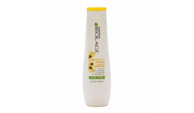 MATRIX BIOLAGE SMOOTHPROOF FRIZZY HAIR CHAMPU 250ML