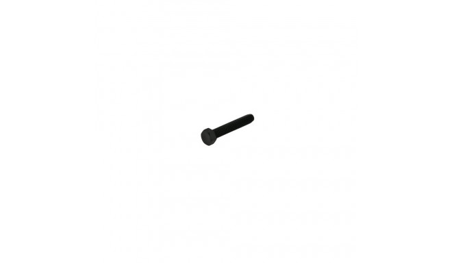 Minelab 1/4 inch plastic bolt, lenght 2inch
