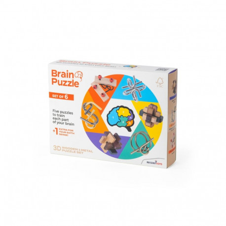 RECENT TOYS Brainteaser Brain puzzle set