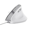 Trust Bayo II mouse Right-hand USB Type-A Optical 2400 DPI