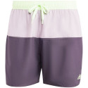 adidas Colorblock CLX M swimming shorts IR6226 (M)
