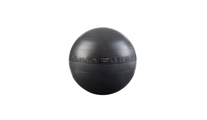 Pure2Improve | Exercise Ball | Black | 65 cm