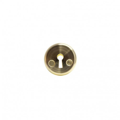 ESCUTCHEON 016 STEEL KEY SB
