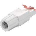Connector RJ45 8pin Cat6 - Tooless, AWG 22/1 - 24/1