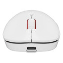 GENESIS Zircon XIII mouse Ambidextrous RF Wireless + USB Type-C Optical 26000 DPI