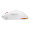 GENESIS Zircon XIII mouse Ambidextrous RF Wireless + USB Type-C Optical 26000 DPI