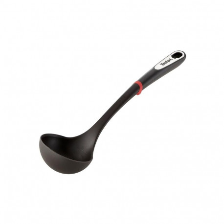 LADLE INGENIO
