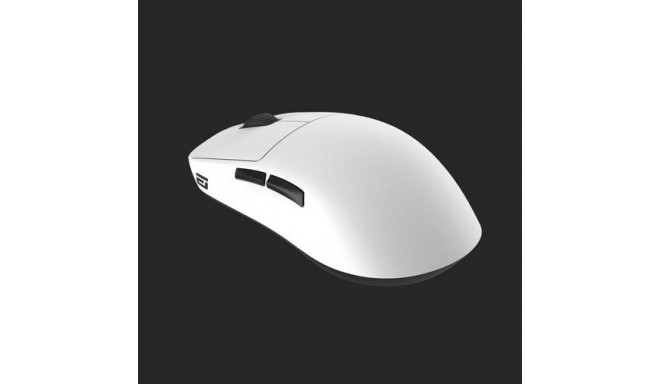Endgame Gear OP1we mouse Gaming Right-hand USB Type-A Optical 19000 DPI