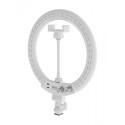 Ring Light Newell RL-10A Arctic White LED + Stand