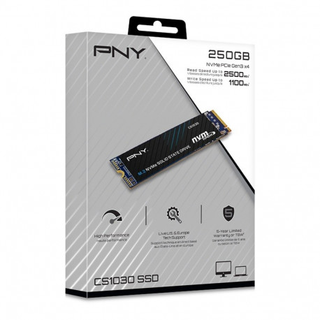 SSD-ketas CS1030 M280CS1030-250-RB 250GB M.2 2280
