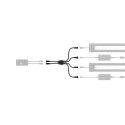 Splitter spektras (4Ch), HeliaLux