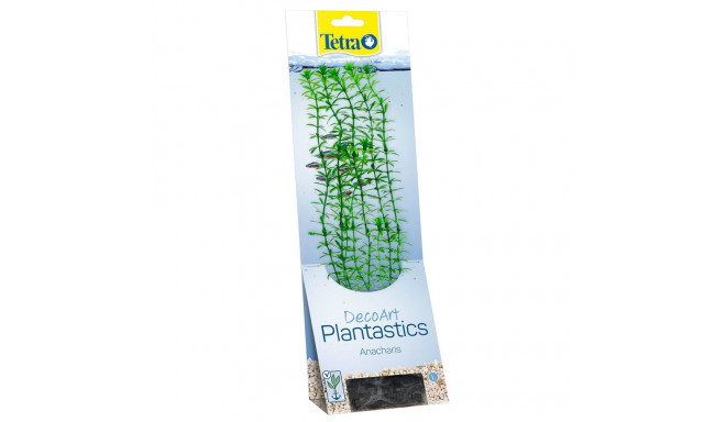 Plastist taim Tetra Anacharis, L