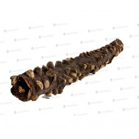 Terraarium kaunistus Silmad Puit 20-30cm