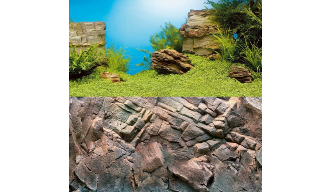 Akvaariumi taust Poster 1 XL 150x60cm