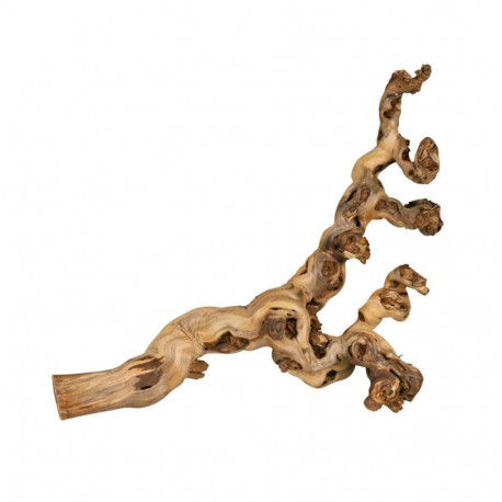 Terraariumi dekoor Viinamarjapuu, XL: 55-80 cm