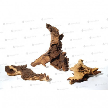 Akvaariumi triivpuu Mopani S 10-20cm