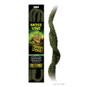 Terrarium decoration EXO-TERRA Moss Vine, large