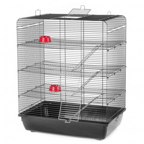 Cage Remy Color G126 58x38x71cm