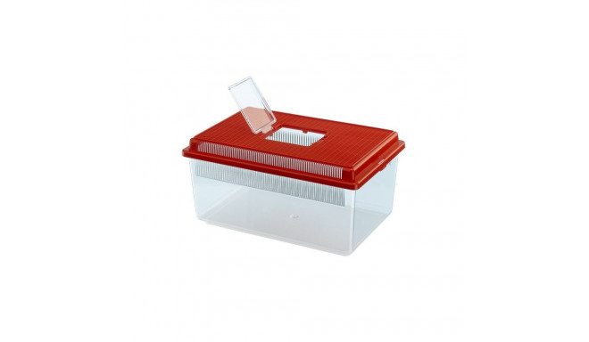 Transpordiboks Geo Flat S 35,5x23,5x16,5cm/4l