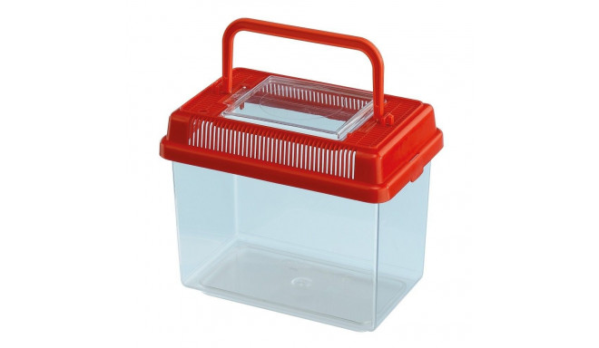 Plastic terrarium Geo, small, 18x11x14/1L