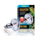 Террариумная лампа Halogen Basking Spot 75w PT2182