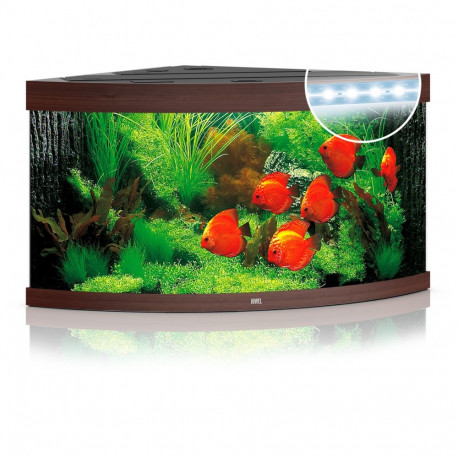 Akvariumas Trigon LED 350 L tamsus medis