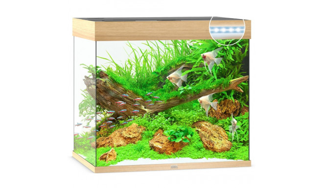 Aquarium Lido LED 200 L light wood