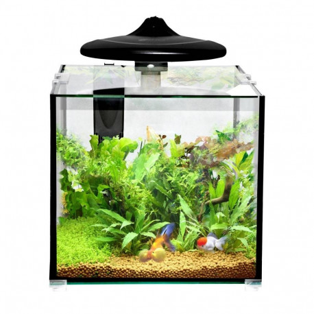 Aquarium CLEAR CUBE CC30 KIT 32L 350x320x318mm