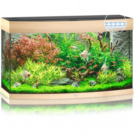 Aquarium Vision LED 180 L light wood