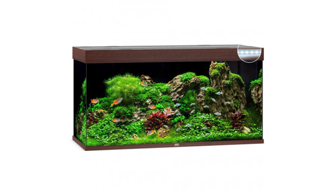 Aquarium Rio LED 350 L tamsus medis