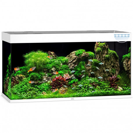Aquarium Rio LED 350 L baltas