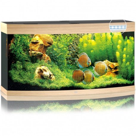 Aquarium Vision LED 260 L šviesios medienos