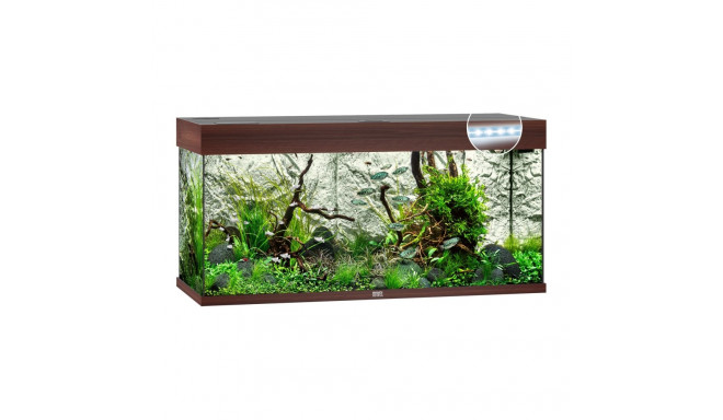 Aquarium Rio LED 180 L dark wood