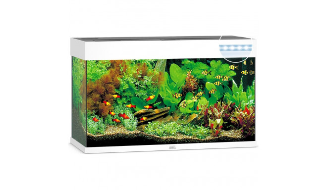 Aquarium Rio LED 125 L baltas