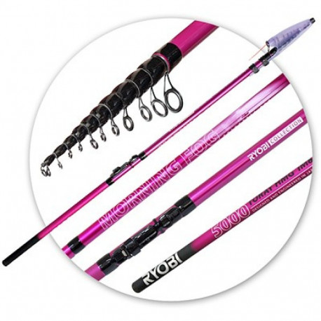 Õngeritv Morning FOG 4000 IM8 80g, RYOBI