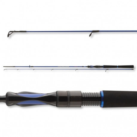 Spinning rod Daiwa Triforce TS 2.40m 10-30g Perch