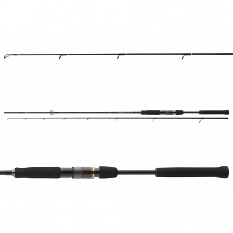 Spinning rod Daiwa Airity Jigger 2.70m 7-28g