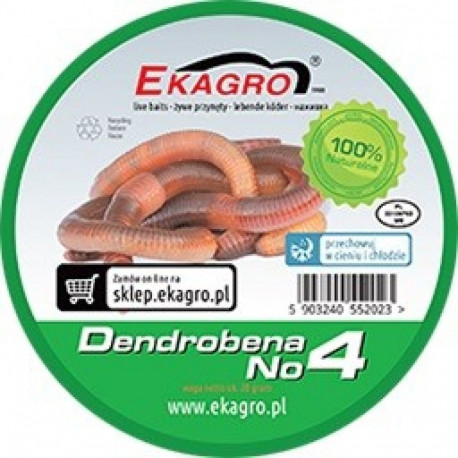 Earthworms Ekagro DENDROBENA nr4